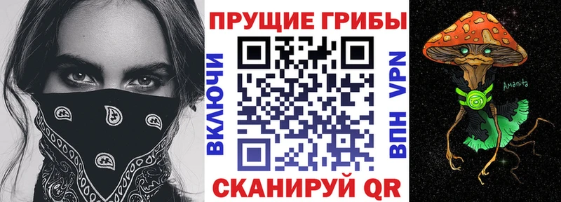 Галлюциногенные грибы MAGIC MUSHROOMS  Кодинск 